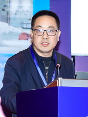 中國冶金礦山企業(yè)協(xié)會總工程師 雷平喜